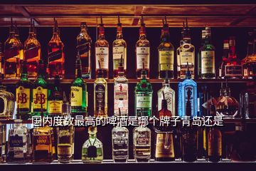 國(guó)內(nèi)度數(shù)最高的啤酒是哪個(gè)牌子青島還是