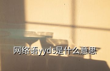 網(wǎng)絡(luò)語(yǔ)yyds是什么意思