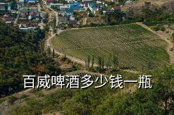 百威啤酒多少錢(qián)一瓶