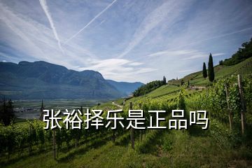 張?jiān)駱肥钦穯?></p>
<h2 id=
