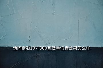請(qǐng)問(wèn)雷頓10寸300瓦做重低音效果怎么樣