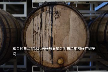 和普通白蘭地比起來(lái)張?jiān)N逍墙皙?jiǎng)白蘭地都好在哪里啊