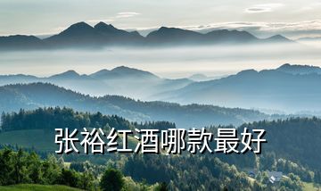 張?jiān)<t酒哪款最好