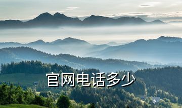 官網(wǎng)電話多少