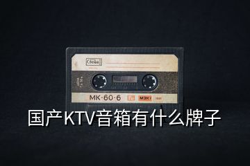國(guó)產(chǎn)KTV音箱有什么牌子