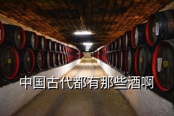 中國(guó)古代都有那些酒啊