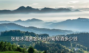 張裕冰酒黃金冰谷的葡萄酒多少錢