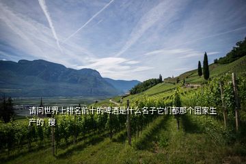 請問世界上排名前十的啤酒是什么名子它們都那個(gè)國家生產(chǎn)的  搜