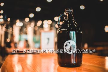 想開一家自釀啤酒小店 各位前輩有沒有好的設(shè)備技術(shù)