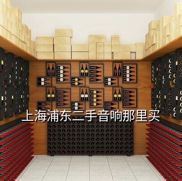 上海浦東二手音響那里買(mǎi)