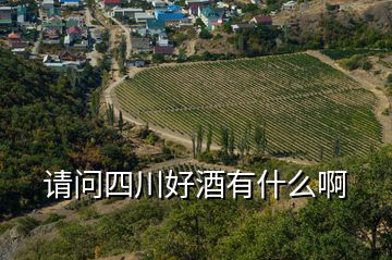 請問四川好酒有什么啊
