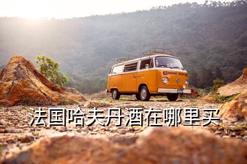 法國(guó)哈夫丹酒在哪里買(mǎi)