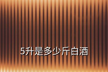 5升是多少斤白酒