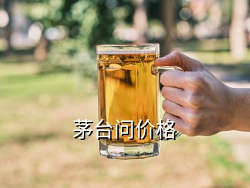 茅臺問價(jià)格