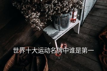世界十大運(yùn)動(dòng)名牌中誰是第一