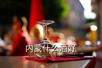 內蒙什么酒好