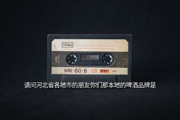 請(qǐng)問(wèn)河北省各地市的朋友你們那本地的啤酒品牌是