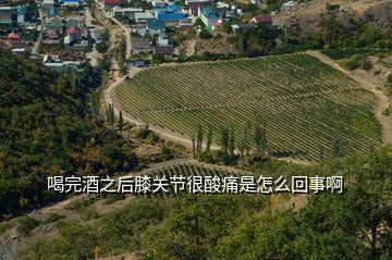 喝完酒之后膝關節(jié)很酸痛是怎么回事啊
