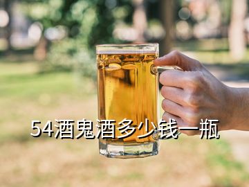 54酒鬼酒多少錢(qián)一瓶