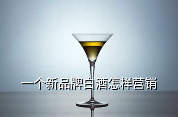 一個(gè)新品牌白酒怎樣營銷