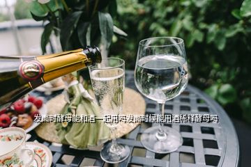 發(fā)面時(shí)酵母能和酒一起用嗎發(fā)面時(shí)候能用酒稀釋酵母嗎