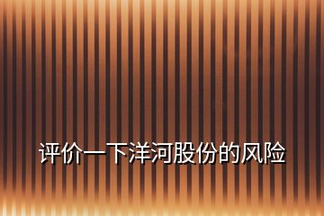 評價(jià)一下洋河股份的風(fēng)險(xiǎn)