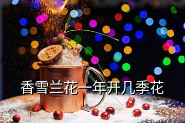 香雪蘭花一年開(kāi)幾季花