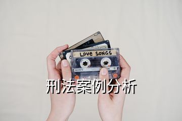 刑法案例分析