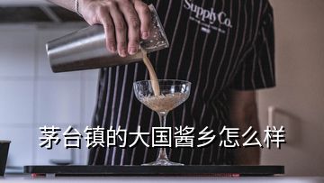 茅臺鎮(zhèn)的大國醬鄉(xiāng)怎么樣