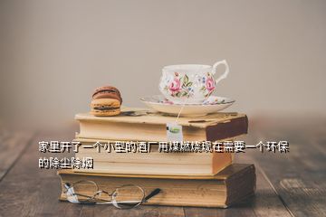 家里開(kāi)了一個(gè)小型的酒廠用煤燃燒現(xiàn)在需要一個(gè)環(huán)保的除塵除煙