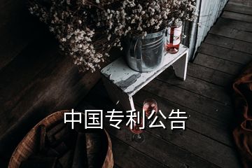 中國(guó)專利公告