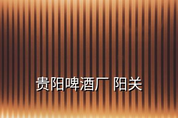 貴陽(yáng)啤酒廠 陽(yáng)關(guān)