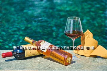 唐橋是五糧液有限公司的董事長還是五糧液集團的董事長