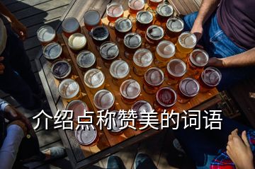  介紹點(diǎn)稱(chēng)贊美的詞語(yǔ)