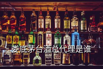 婁底茅臺酒總代理是誰