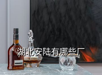 湖北安陸有哪些廠