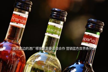宿遷這邊的酒廠哪家是需要洽談合作 營(yíng)銷(xiāo)藍(lán)色世界系列酒的