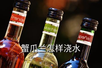蟹爪蘭怎樣澆水