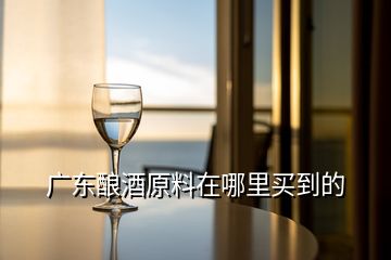 廣東釀酒原料在哪里買到的