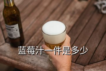 藍莓汁一件是多少