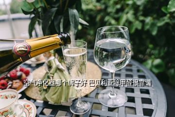 空氣凈化器哪個(gè)牌子好 巴貝利亞除甲醛很靠譜