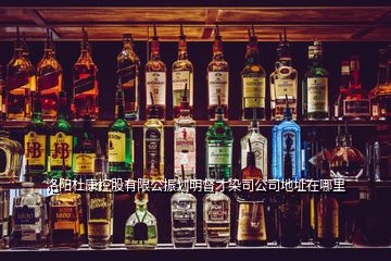 洛陽杜康控股有限公振劃明督才染司公司地址在哪里