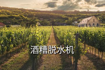 酒糟脫水機(jī)