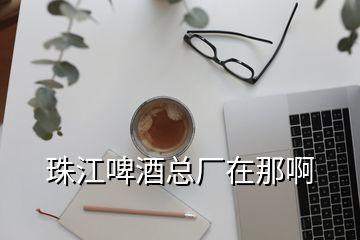 珠江啤酒總廠(chǎng)在那啊