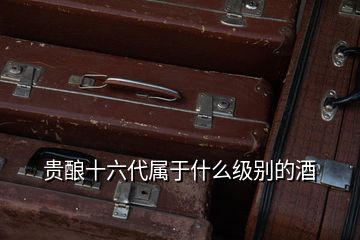 貴釀十六代屬于什么級(jí)別的酒