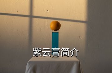 紫云膏簡(jiǎn)介