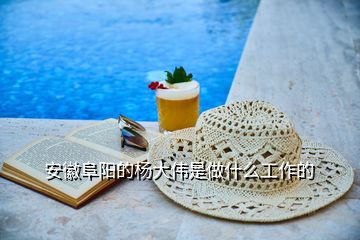 安徽阜陽(yáng)的楊大偉是做什么工作的