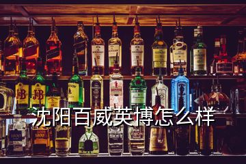 沈陽百威英博怎么樣