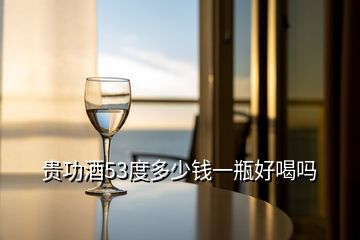 貴功酒53度多少錢(qián)一瓶好喝嗎
