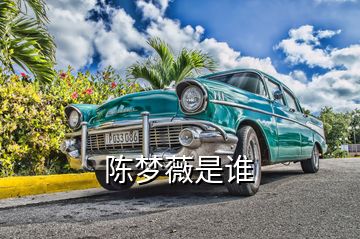 陳夢(mèng)薇是誰(shuí)